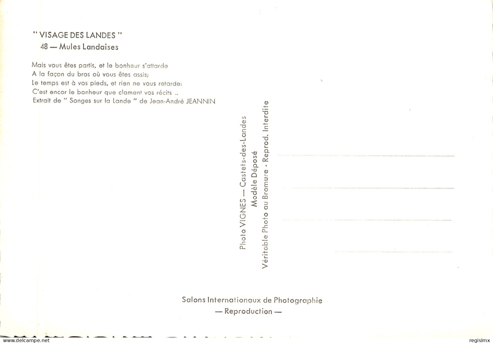 40-SCENE LANDAISE-MULES LANDAISES-N°T556-A/0097 - Other & Unclassified