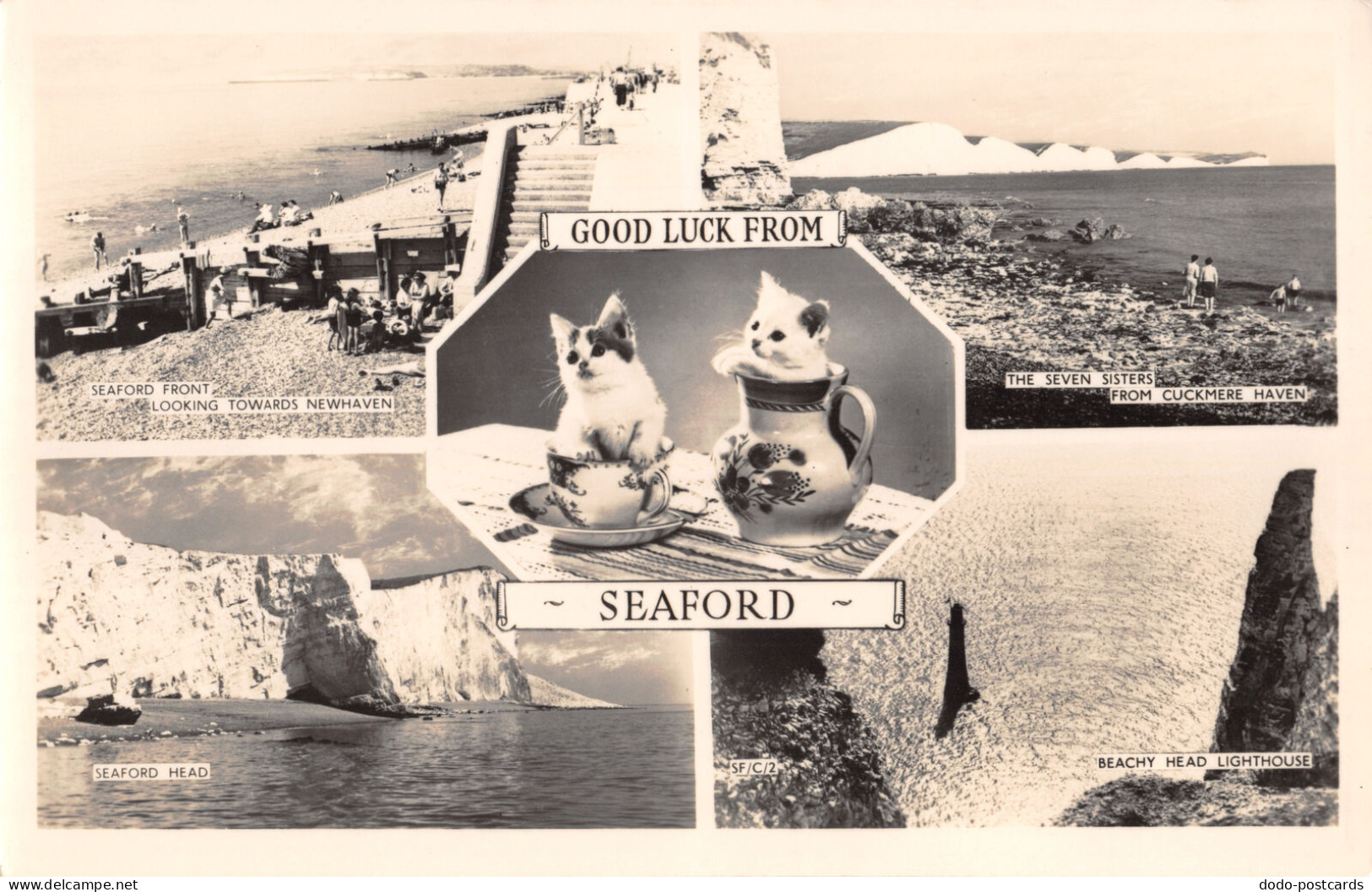 R295367 Greeting Card. Multi View. Good Luck From Seaford. Kittens. Masons Alpha - Wereld