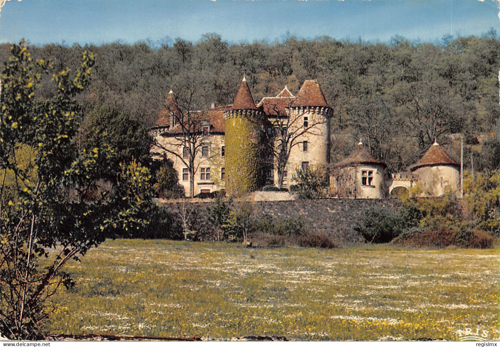 46-FIGEAC-CHÂTEAU DE CEINT D EAU-N°T557-C/0397 - Figeac