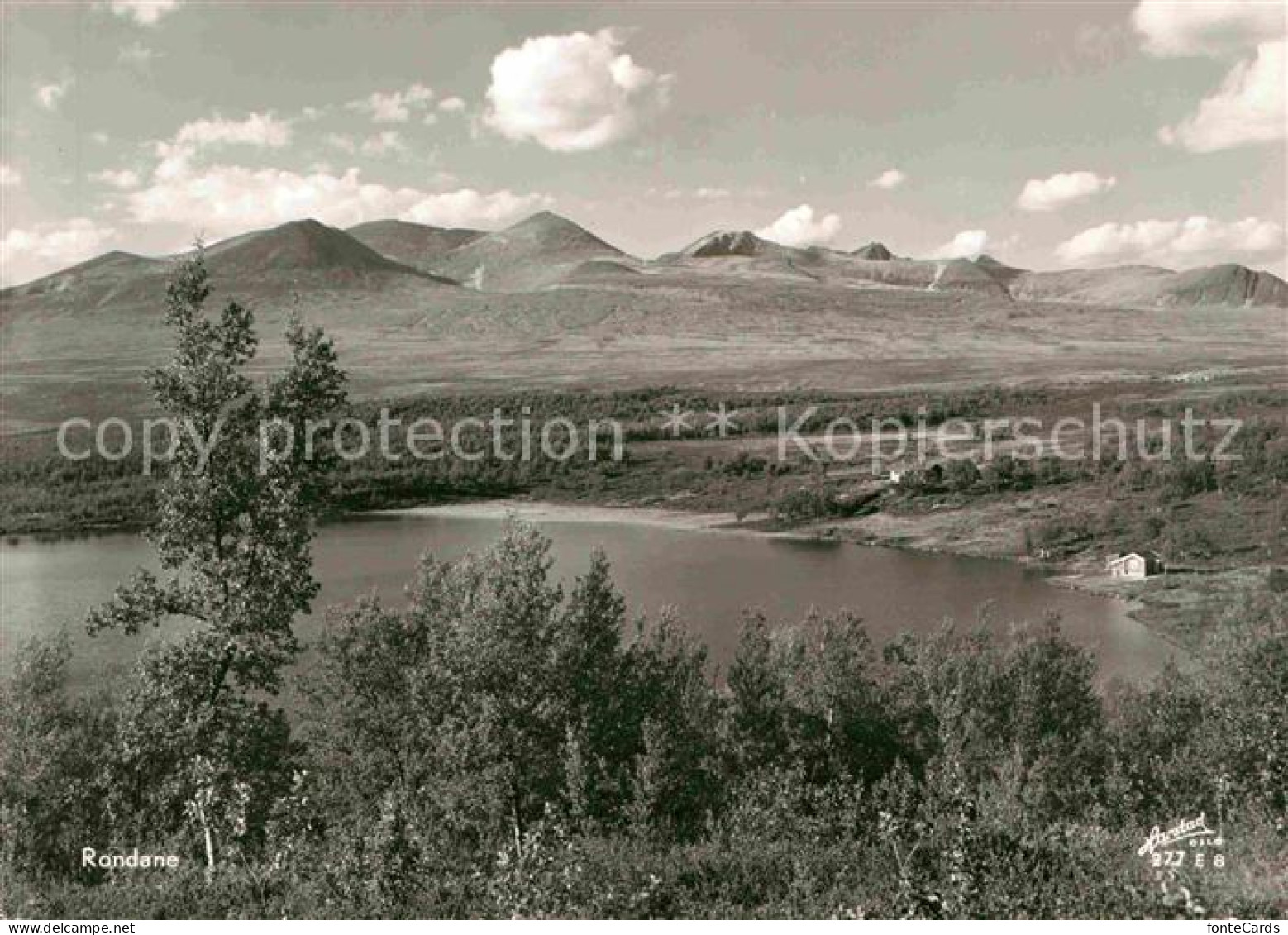 72713013 Rondane Partie Am See Rondane - Norvège