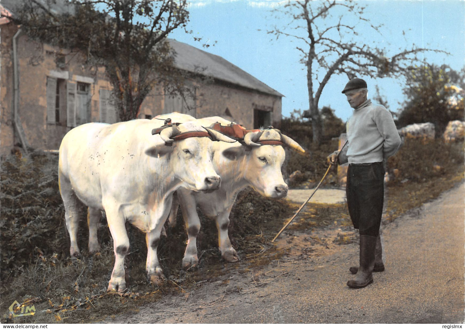 58-FOLKLORE DU MORVAN-ATTELAGE DE BŒUFS-N°T558-D/0157 - Altri & Non Classificati