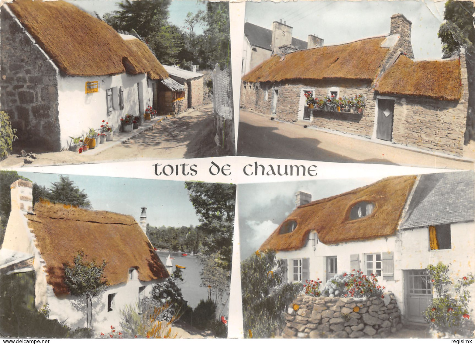 56-SCENE DE BRETAGNE-CHAUMIERES FLEURIES-N°T558-C/0131 - Other & Unclassified