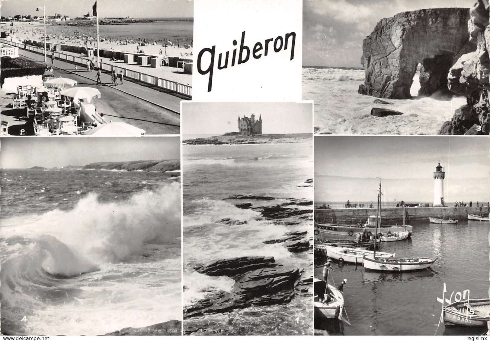 56-QUIBERON-N°T558-C/0053 - Quiberon