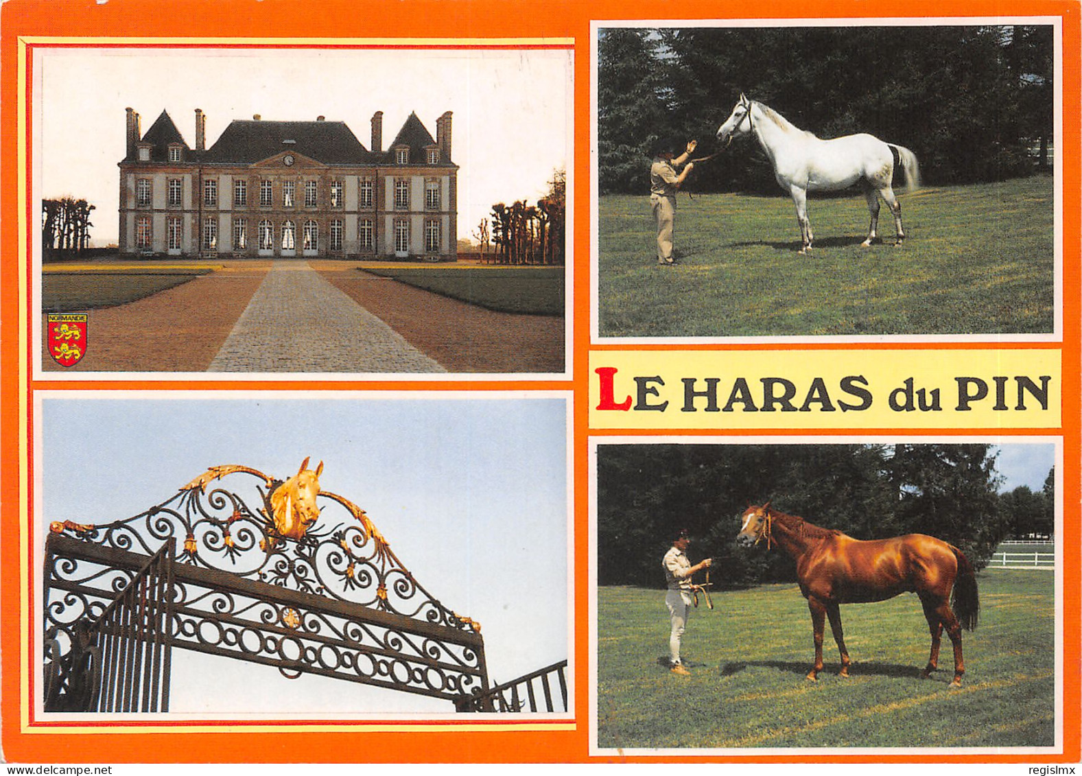 61-HARAS DU PIN-N°T559-A/0395 - Other & Unclassified