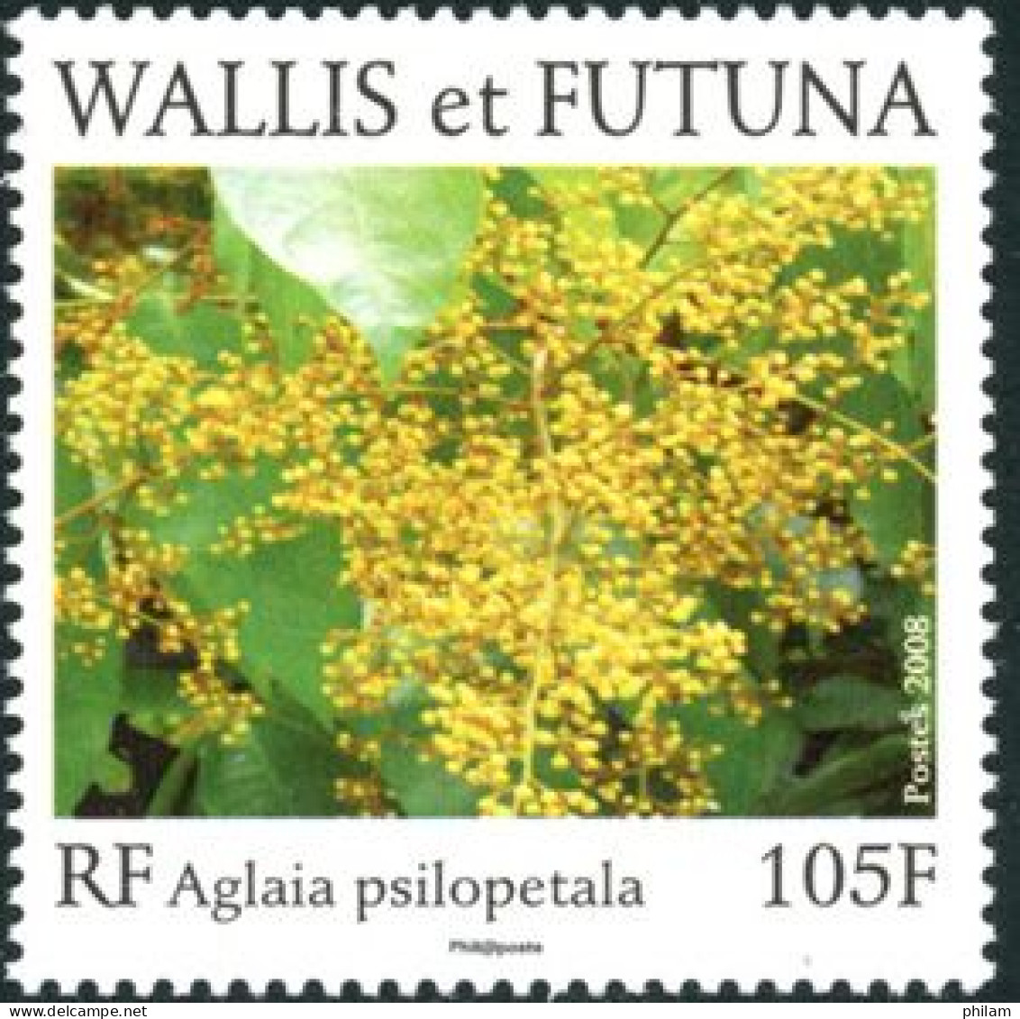 WALLIS ET FUTUNA 2008 - Fleur: Lagakali Aglaia Psilopetala - 1 V. - Ongebruikt