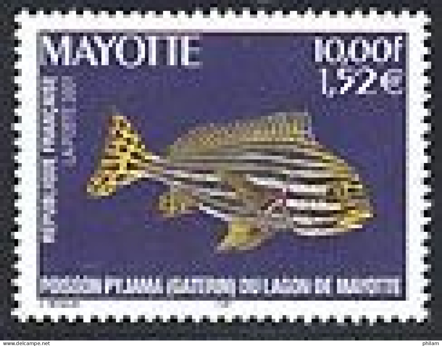 MAYOTTE 2001 - Poisson Pijama - 1 V. - Unused Stamps