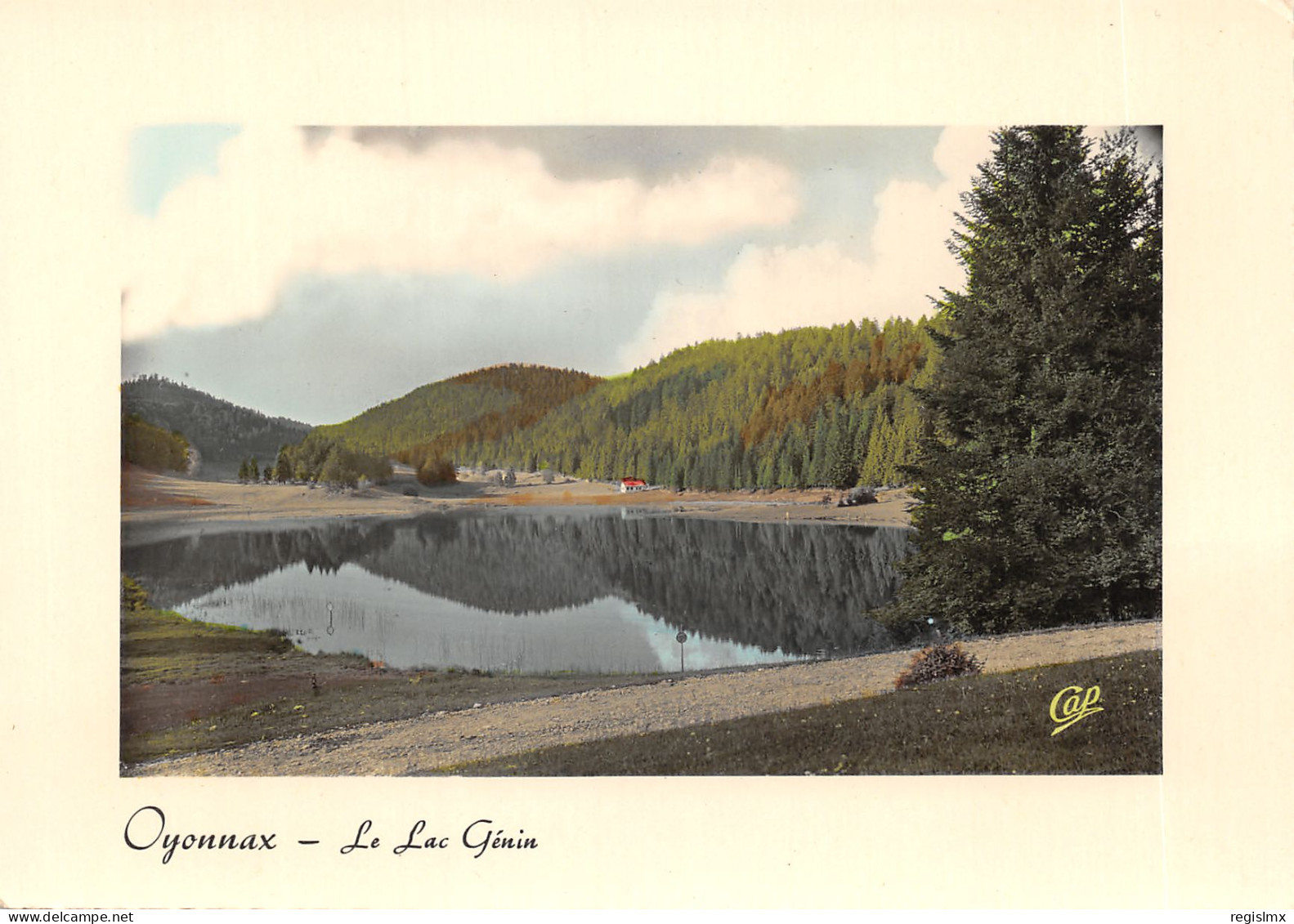 01-OYONNAX-LE LAC GENIN-N°T564-C/0031 - Oyonnax