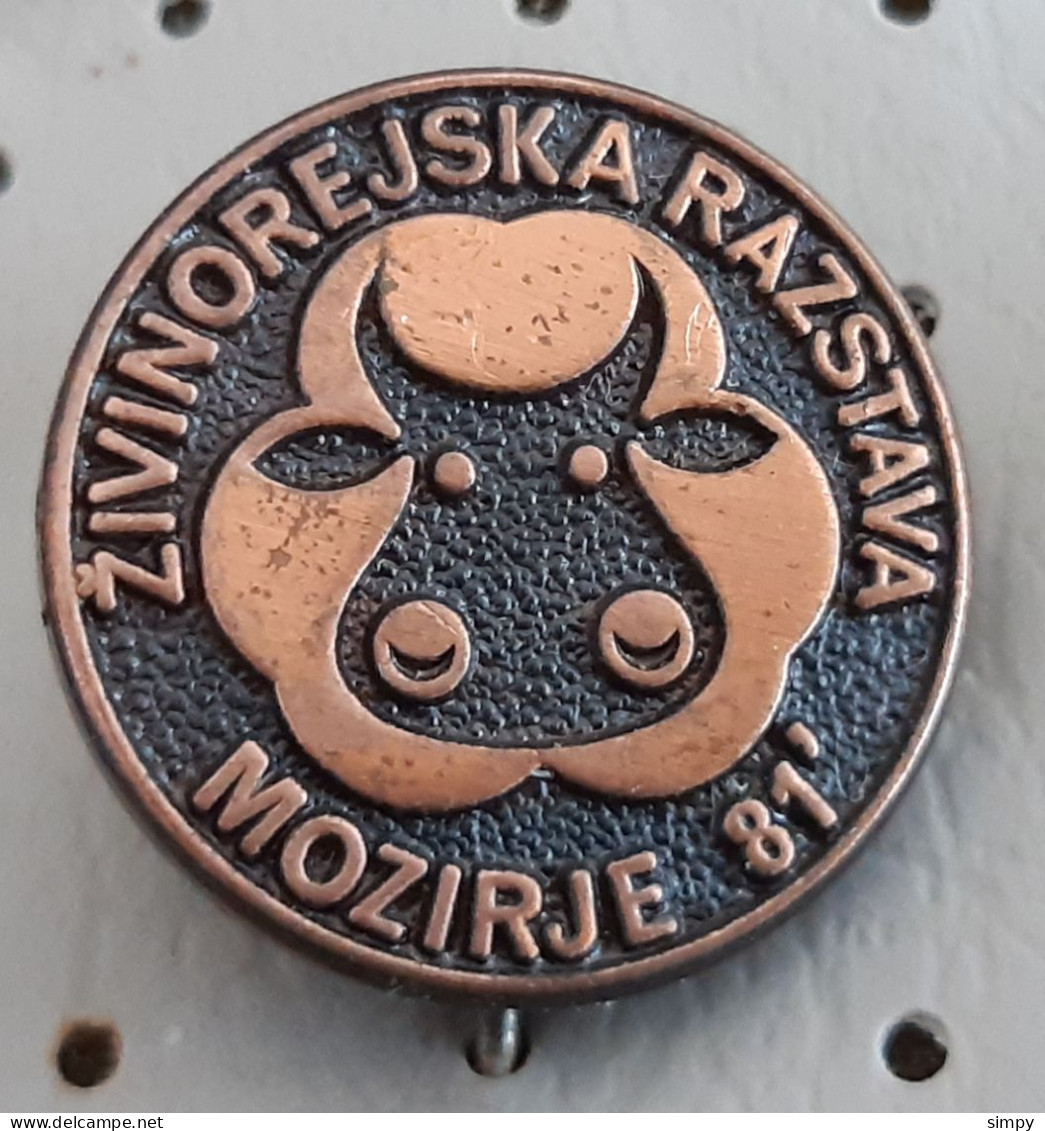 Cattle Cows Livestock Exhibition Mozirje 1981  Slovenia Ex Yugoslavia Pin Cow - Animaux