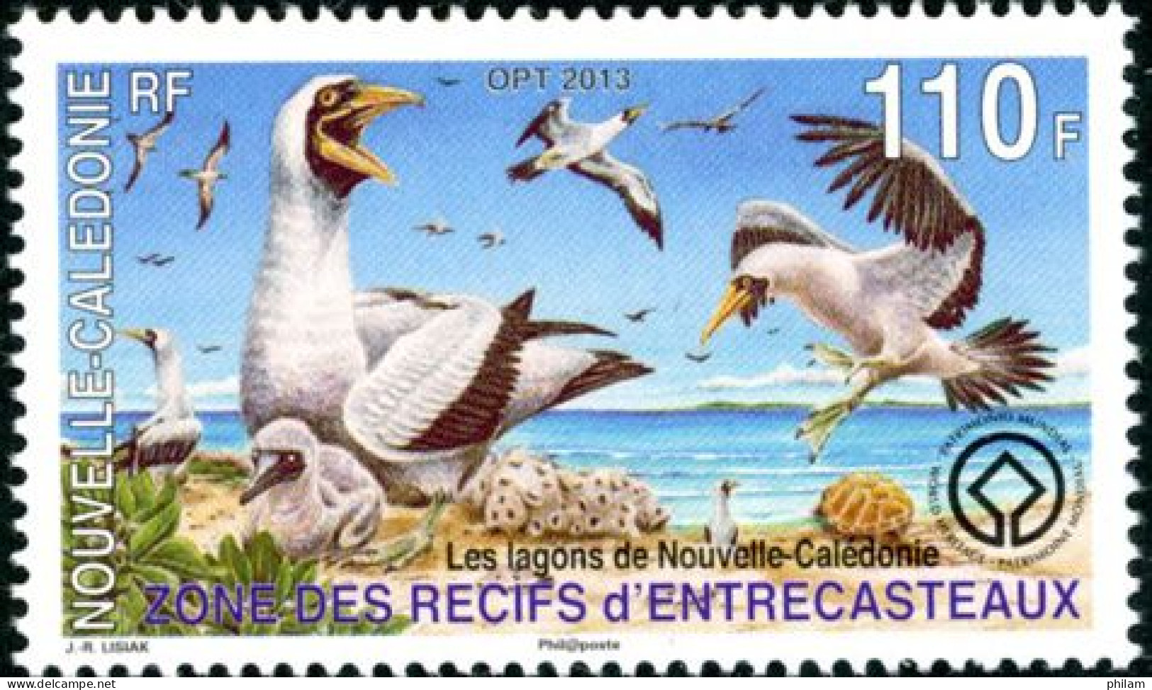 NOUVELLE CALEDONIE 2013 - Récifs D'entrecasteaux - Oiseaux - 1 V. - Meeuwen