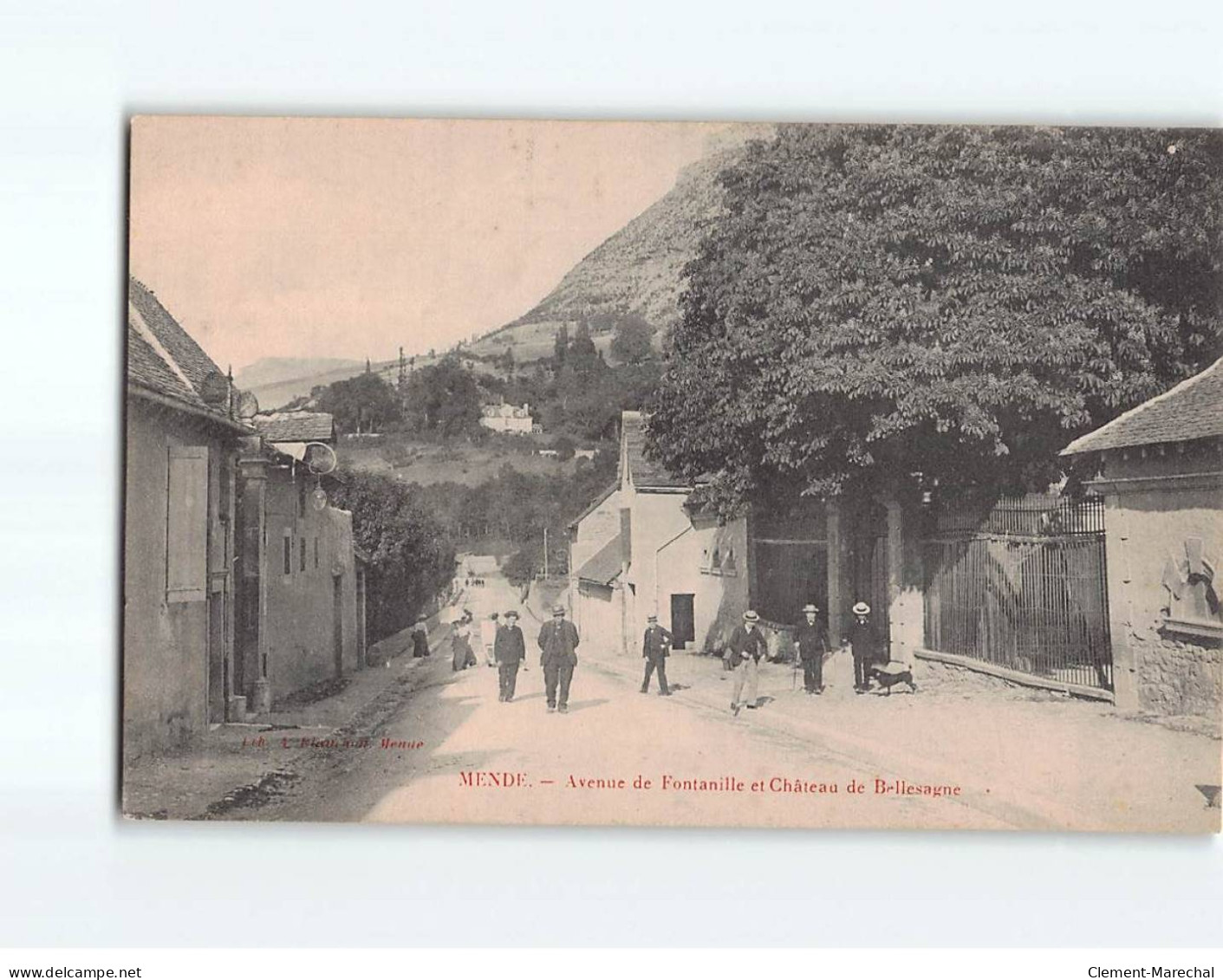 MENDE : Avenue De Fontanille Et Château De Bellesagne - Très Bon état - Mende