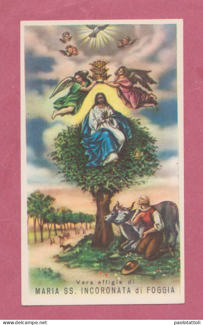 Holy Card, Santino- Vera Effige Maria SS Incoronata Di Foggia, . Con Approvazione Ecclesiastica. Ed. Enrico Bertarelli - Images Religieuses