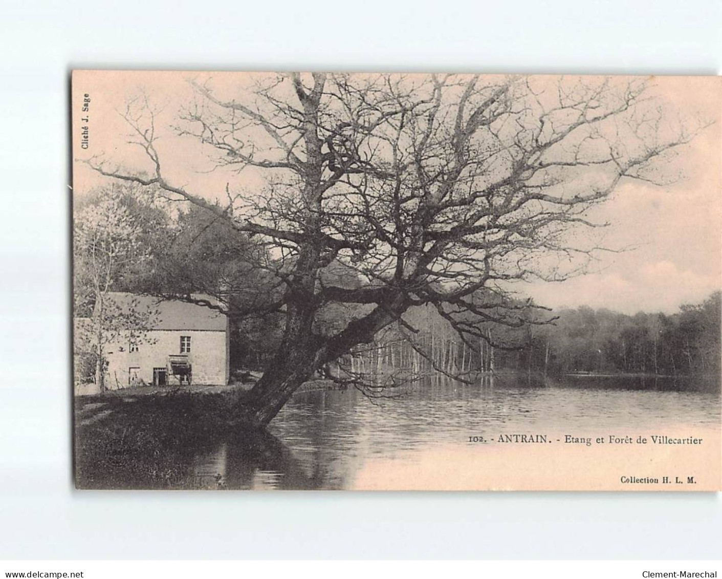 ANTRAIN : Etang Et Forêt De Villecartier - Très Bon état - Other & Unclassified