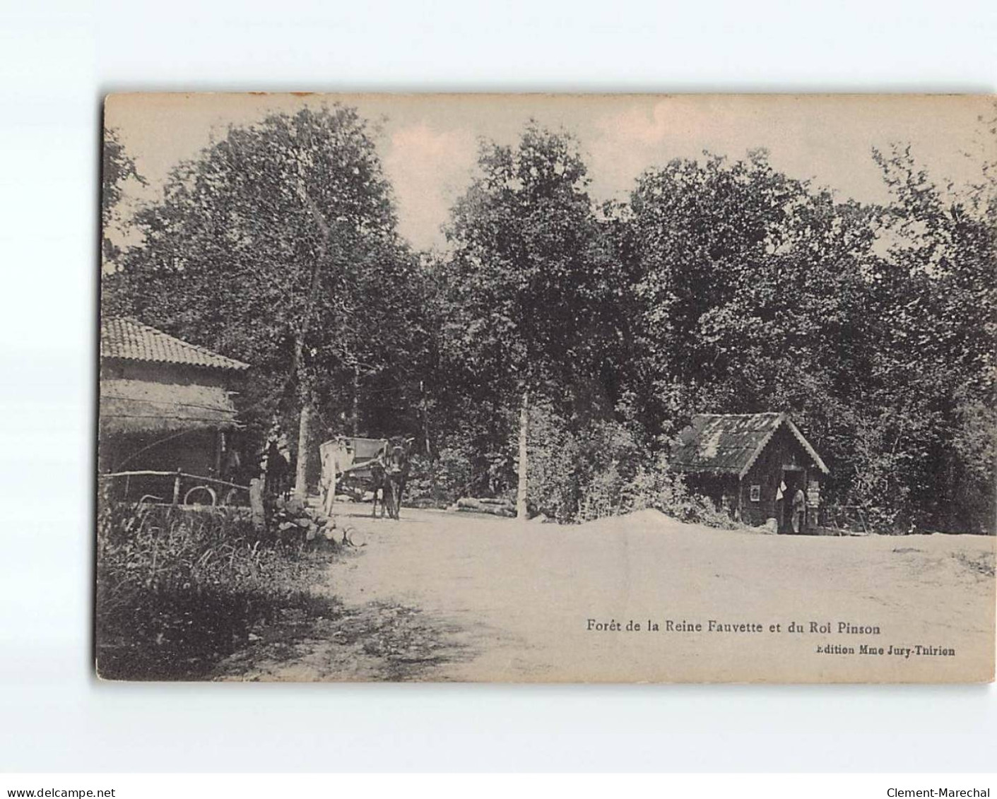 Forêt De La Reine Fauvette Et Du Roi Pinson - état - Autres & Non Classés