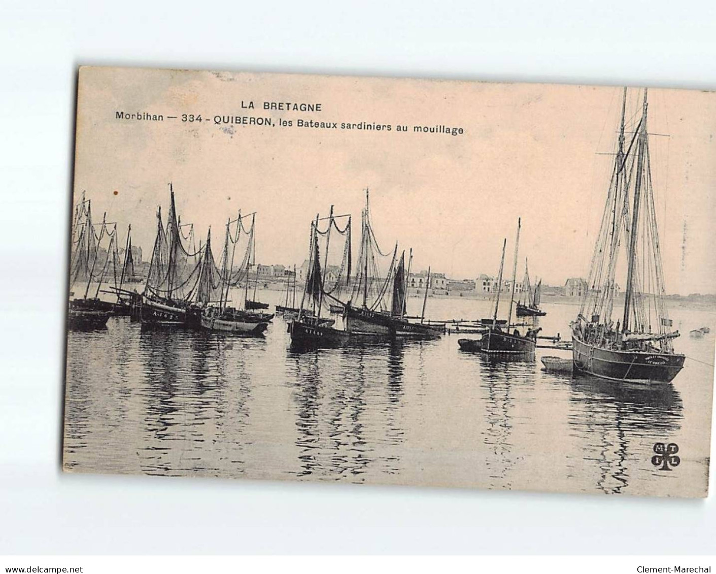 QUIBERON : Les Bateaux Sardiniers Au Mouillage - Très Bon état - Quiberon