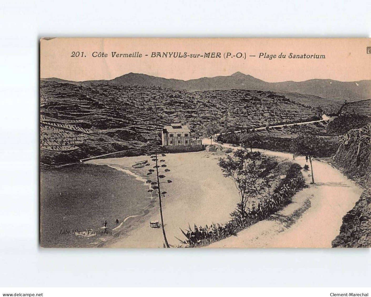 BANYULS SUR MER : Plage Du Sanatorium - Très Bon état - Banyuls Sur Mer