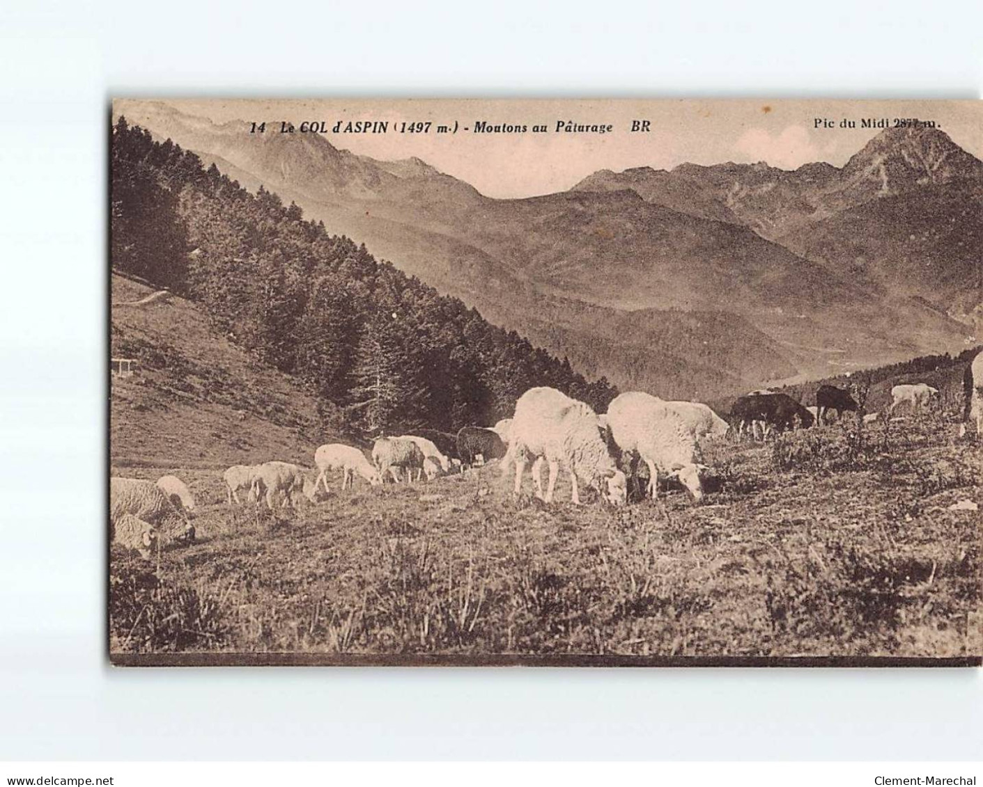 Le Col D'Aspin : Moutons Au Pâturage - état - Sonstige & Ohne Zuordnung