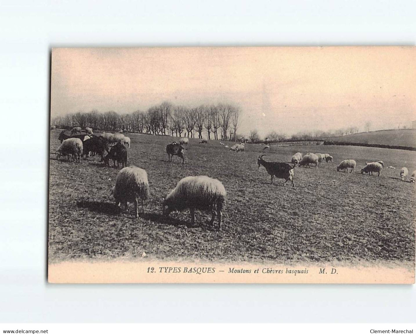 Moutons Et Chèvres Basquais - Très Bon état - Other & Unclassified