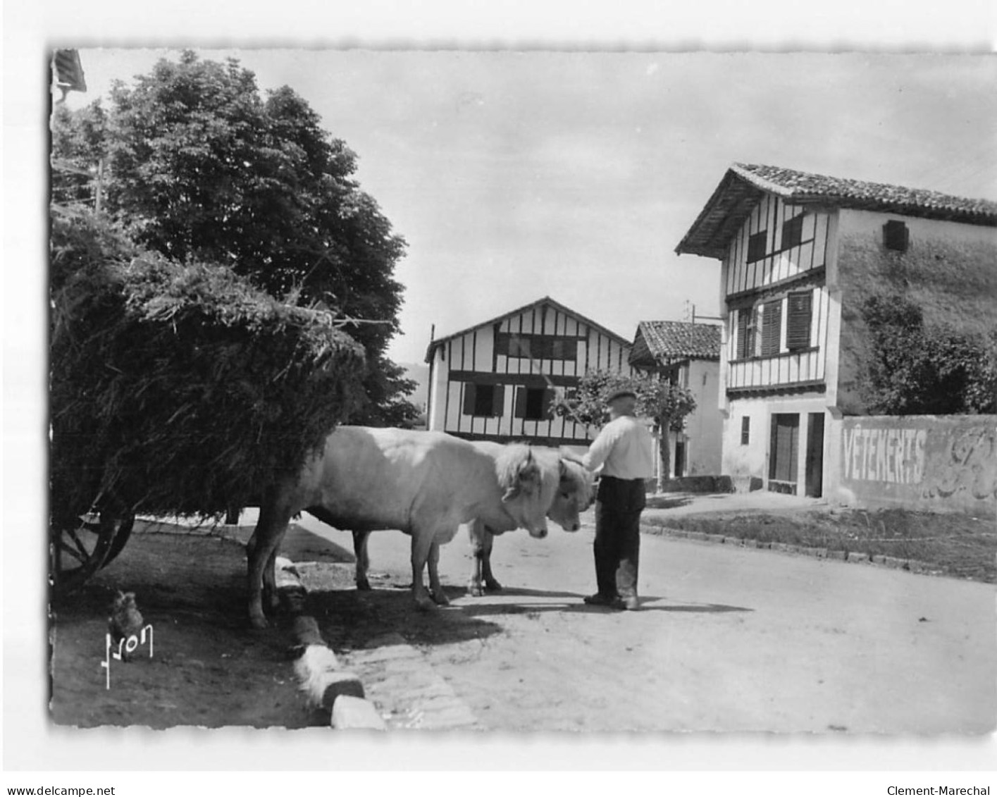 AINHOA : Un Coin Typique Du Village - Très Bon état - Ainhoa