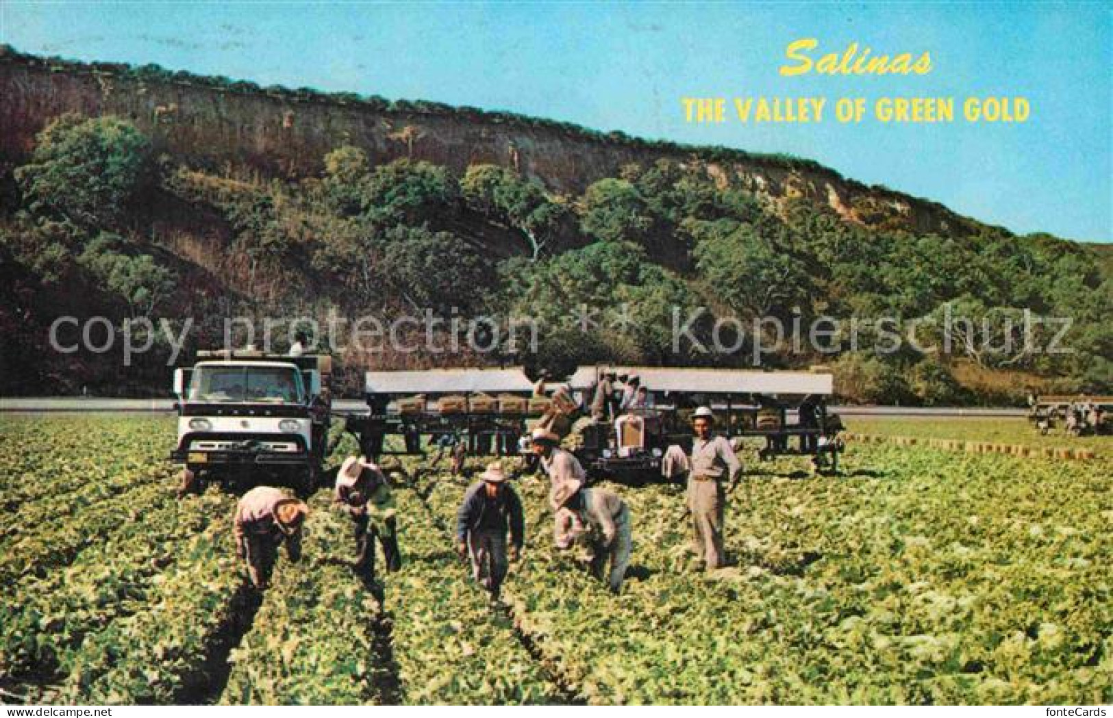 72705284 Salinas The Valley Of Green Gold Landwirtschaft - Autres & Non Classés