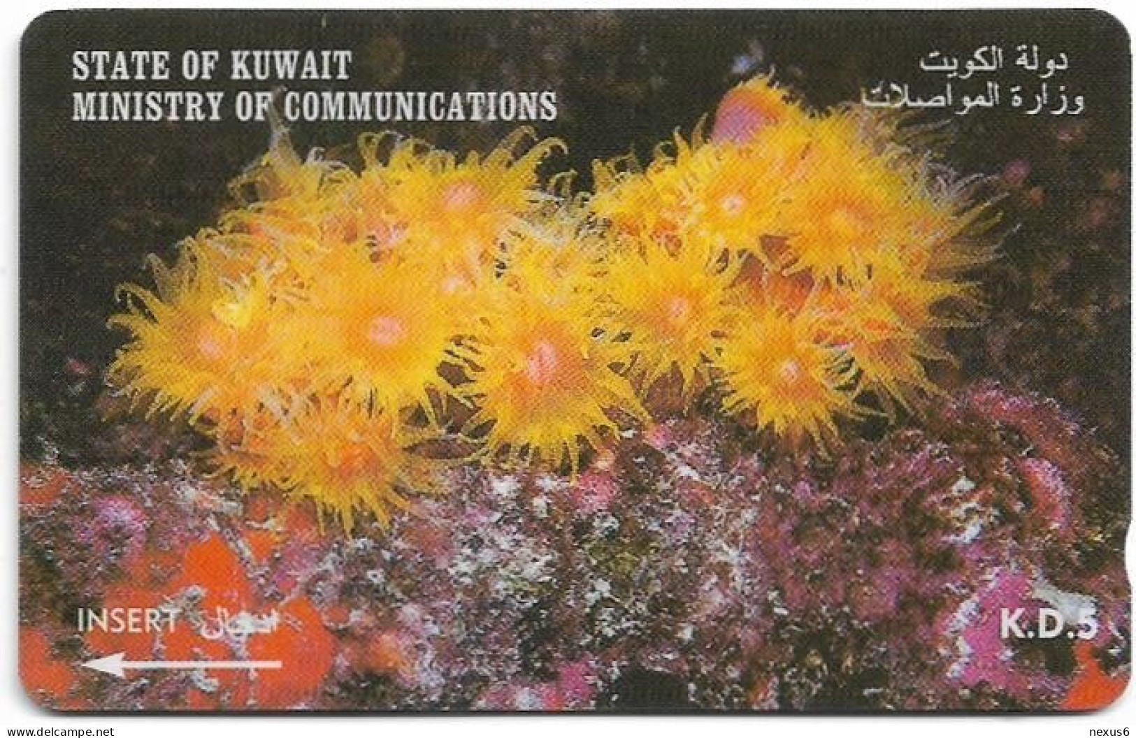 Kuwait - (GPT) - Anemone Actiniaria - 39KWTP - 1997, Used - Koweït