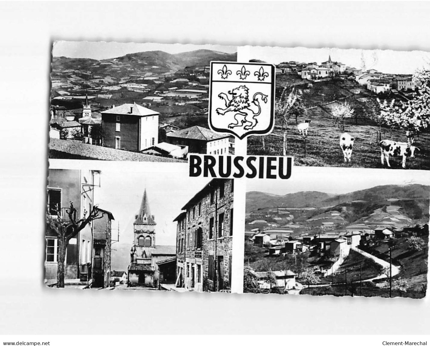 BRUSSIEU : Carte Souvenir - Très Bon état - Otros & Sin Clasificación