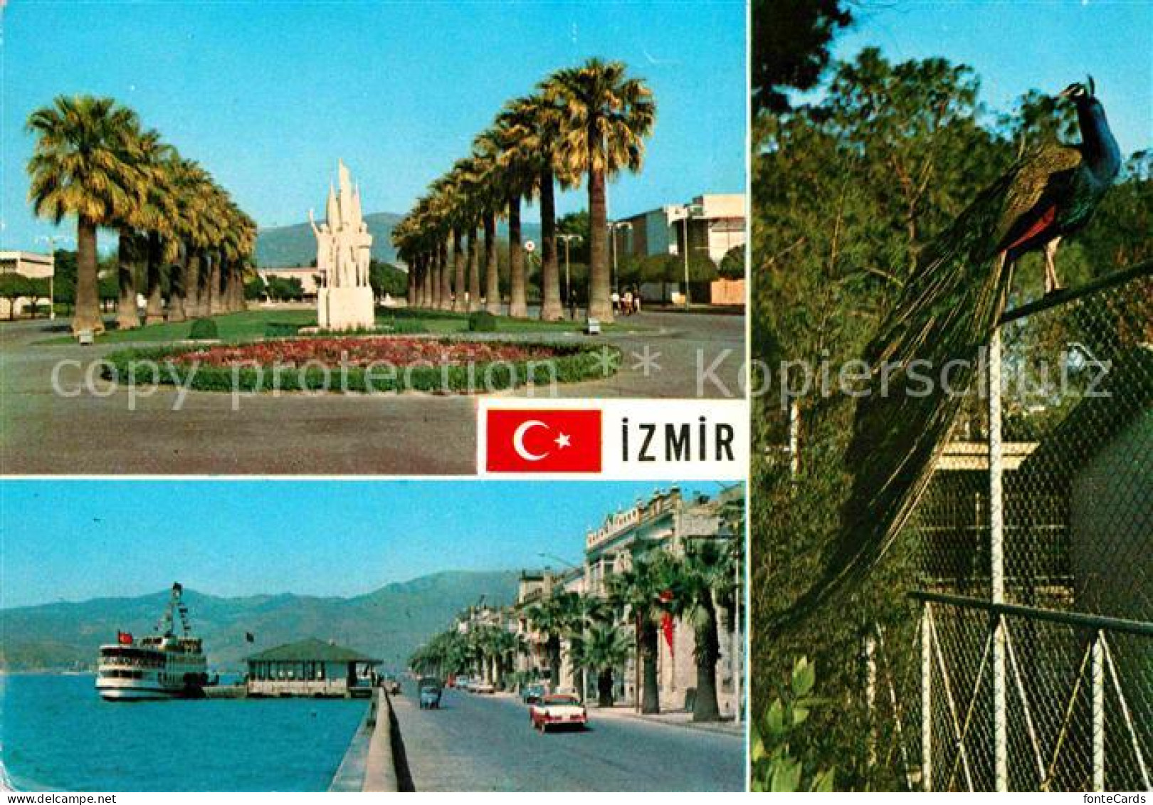 72689768 Izmir Egenin Incisi Internationale Messe Alsancak Faehre Pfau Izmir - Turkey