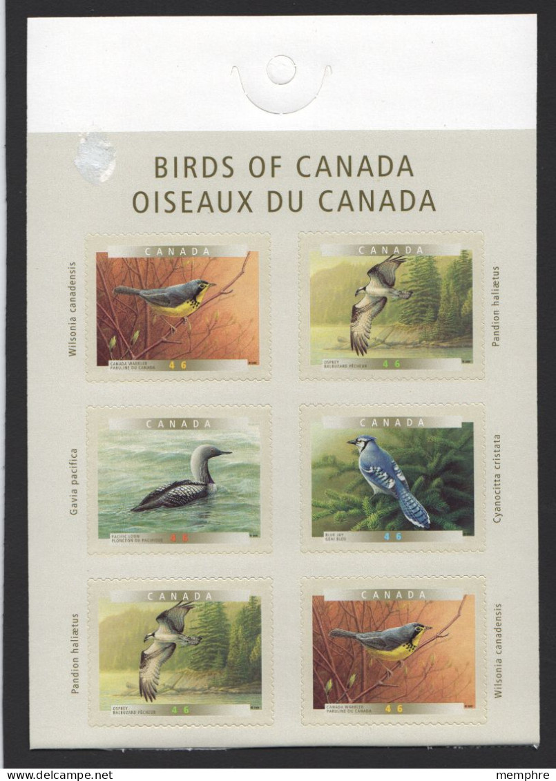 2000  Birds Loon, Osprey, Warbler, Jay  Booklet Pane Of 6 Sc 1843-6 - Nuevos