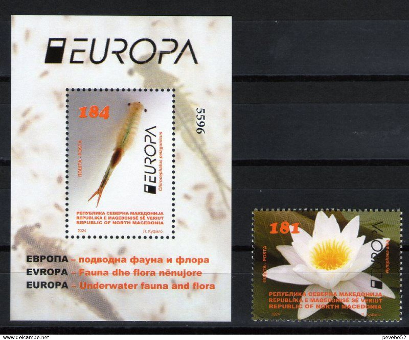 NORTH MACEDONIA 2024 EUROPA - UNDERWATER FLORA AND FAUNA MNH - Macedonia Del Norte