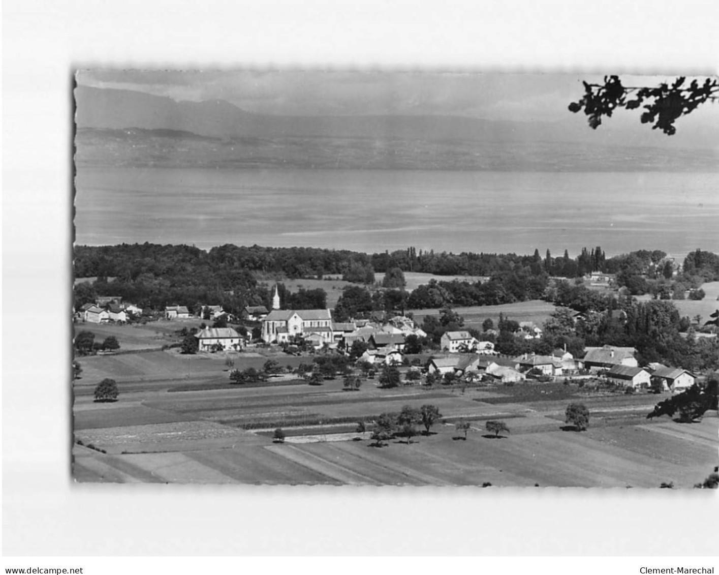 SCIEZ : Le Lac Léman - Très Bon état - Sciez