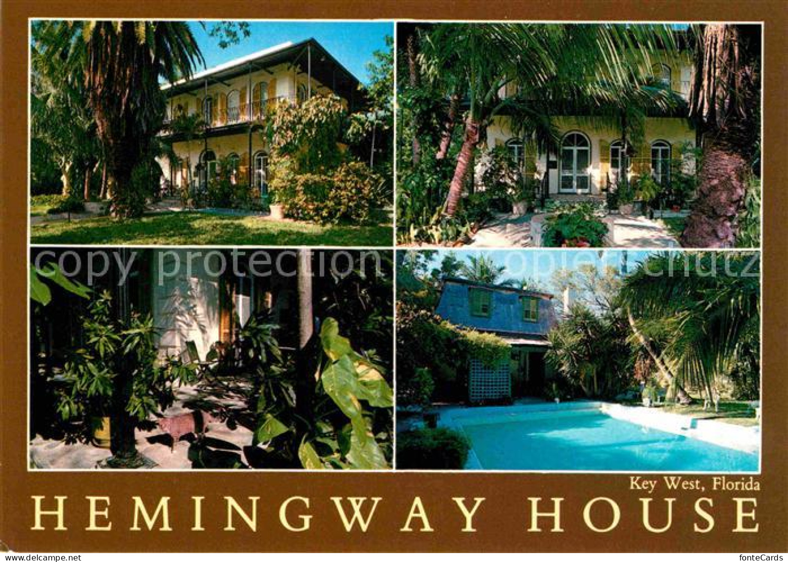 72672099 Key_West Hemingway House Swimming Pool - Other & Unclassified