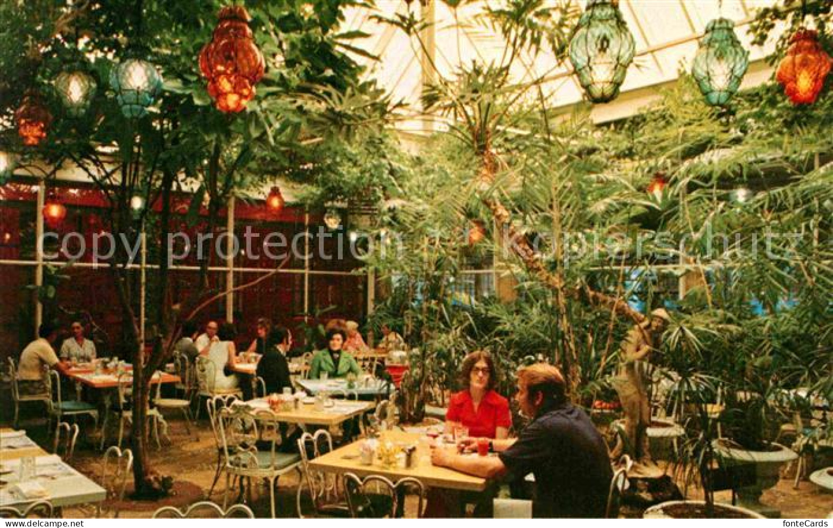 72671408 Clearwater_Florida Kapok Tree Patio Dining Amid A Tropical Indoor Garde - Andere & Zonder Classificatie