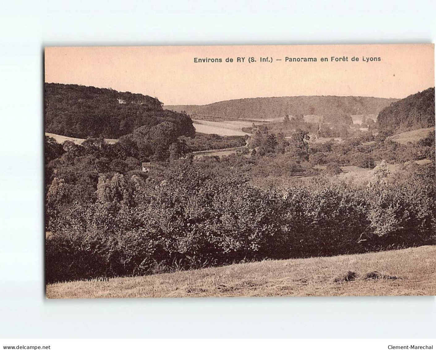 Panorama En Forêt De Lyons - Très Bon état - Sonstige & Ohne Zuordnung