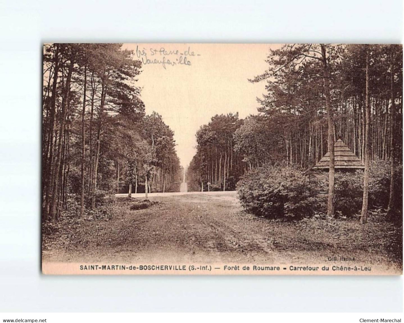 SAINT MARTIN DE BOSCHERVILLE : Forêt De Roumare, Carrefour Du Chêne-à-Leu - Très Bon état - Saint-Martin-de-Boscherville