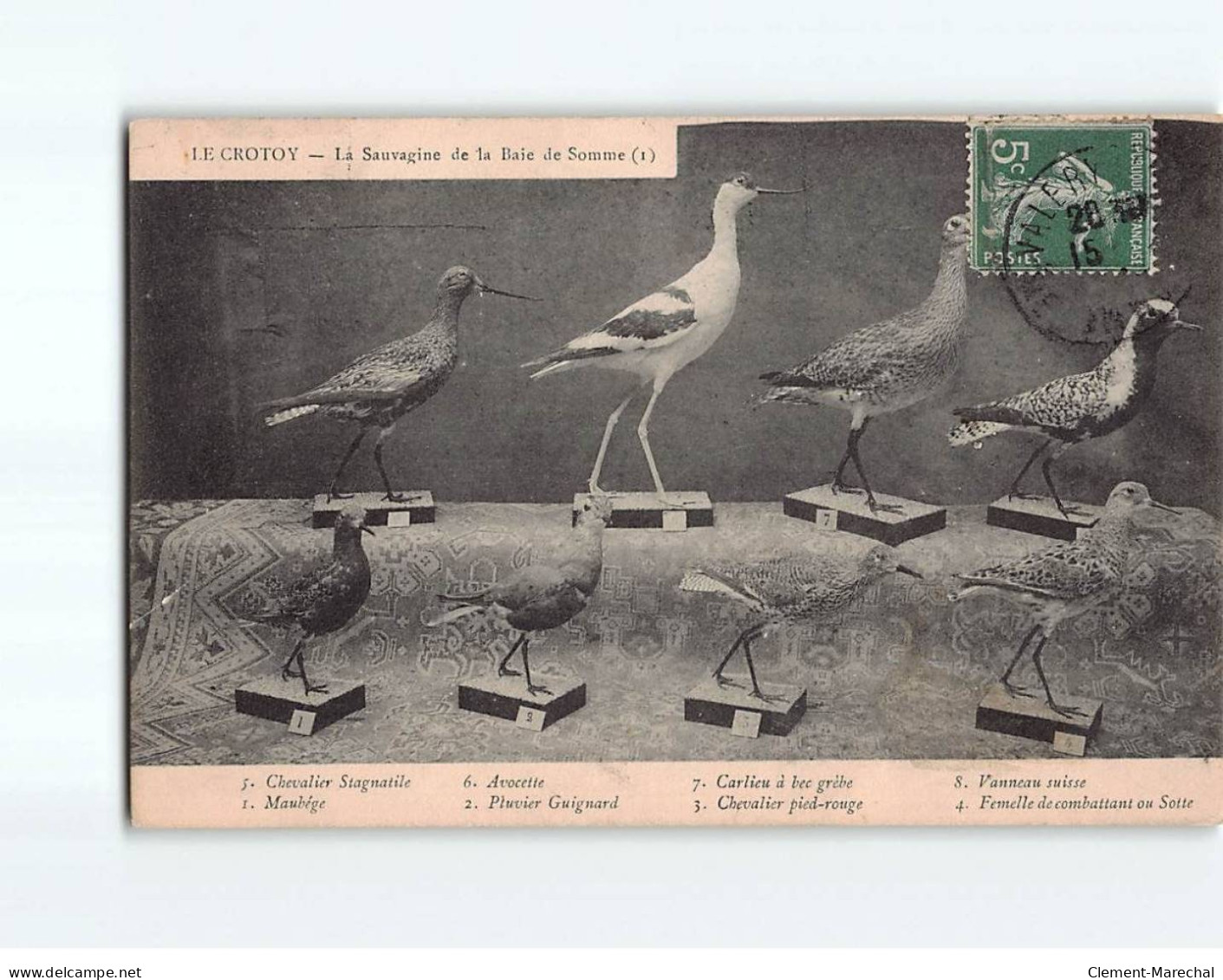 LE CROTOY : La Sauvagine De La Baie De Somme - Très Bon état - Le Crotoy