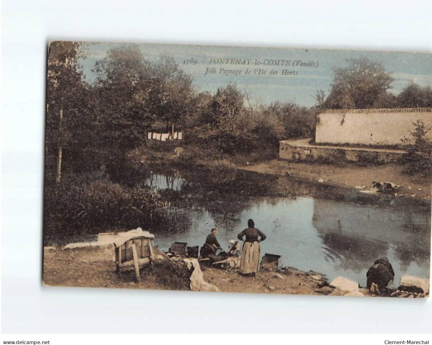 FONTENAY LE COMTE : Joli Paysage De L'Ile Des Horts - état - Fontenay Le Comte