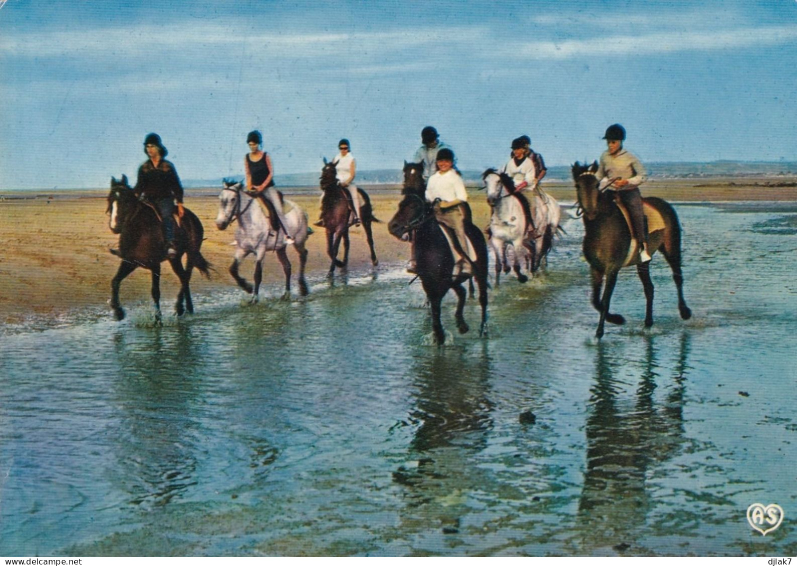 Promenade Equestre Avec Cheval - Chevaux