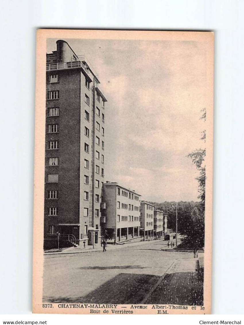 CHATENAY MALABRY : Avenue Albert-Thomas Et Le Bois De Verrières - Très Bon état - Chatenay Malabry