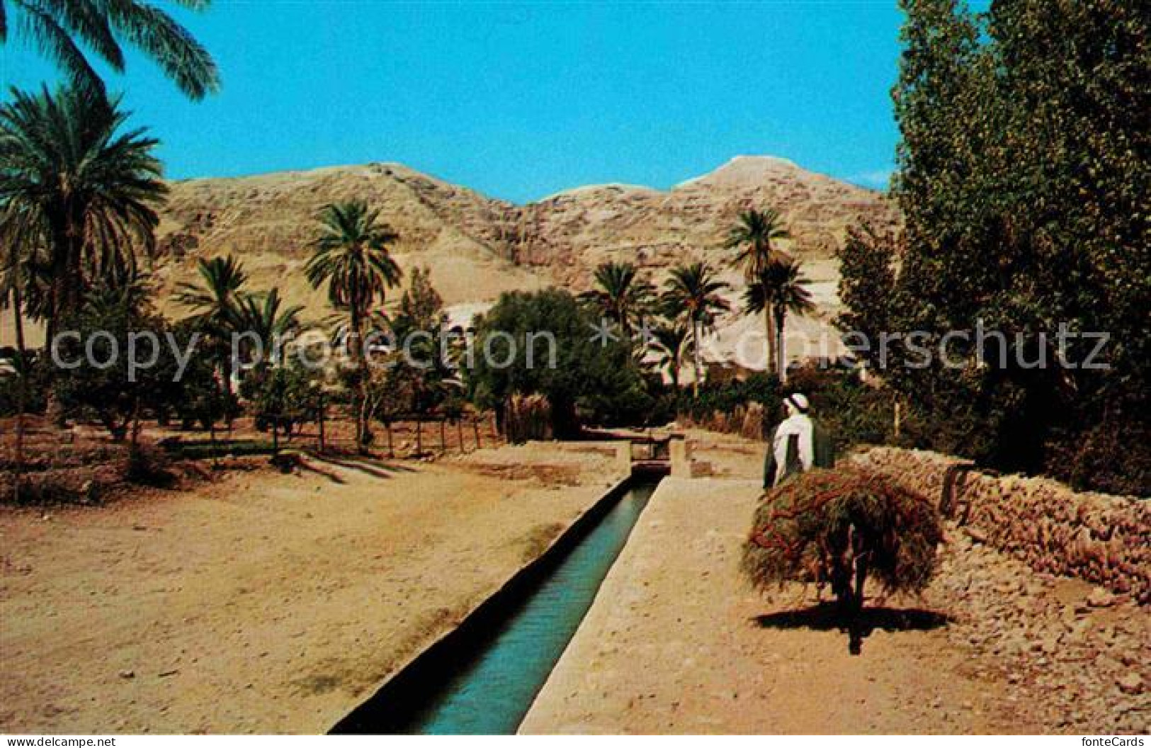 72660471 Jerusalem Yerushalayim Elisha Fountain And Mount Of Temptation Israel - Israel