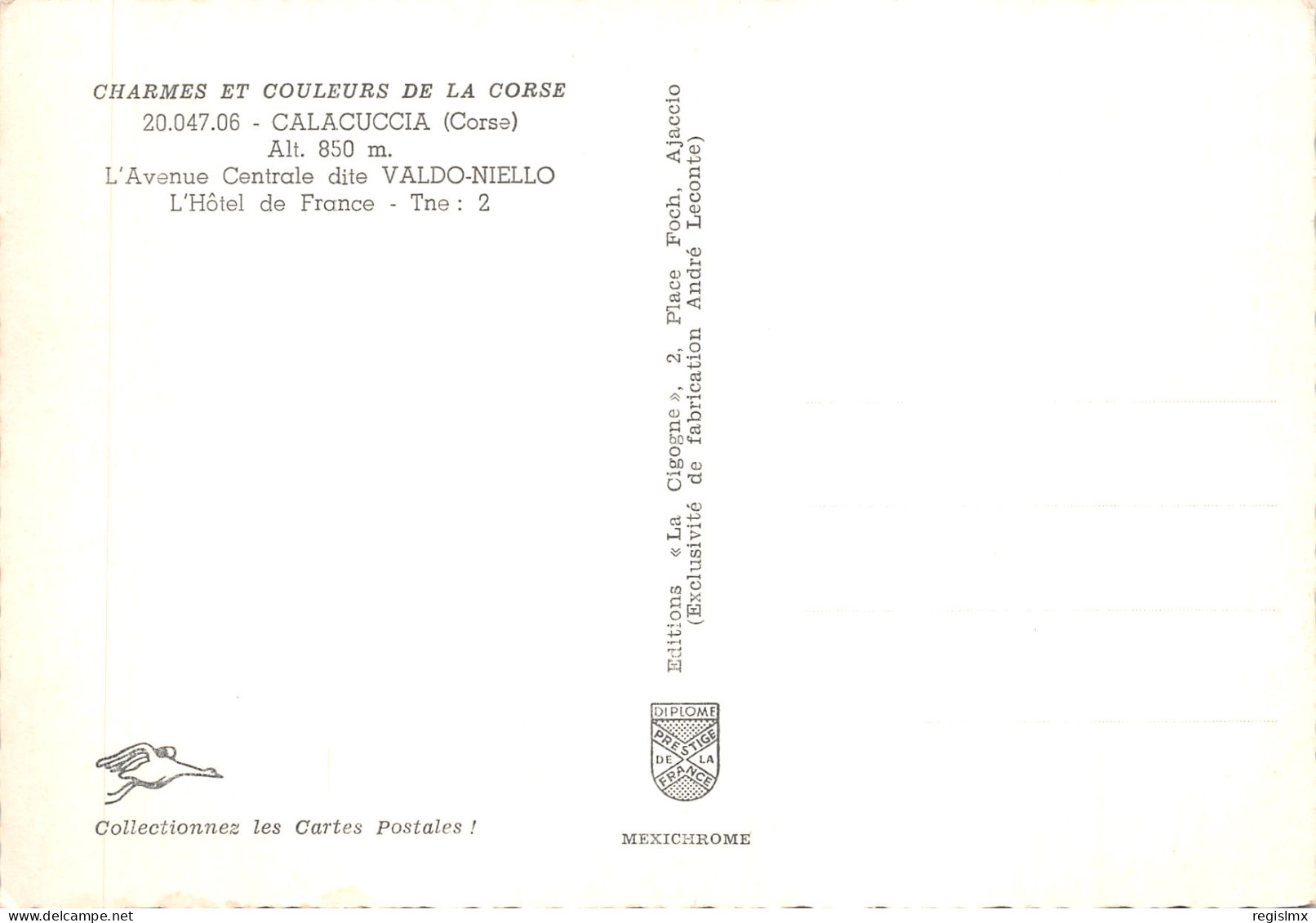 20-CALACUCCIA-N°T567-B/0359 - Other & Unclassified