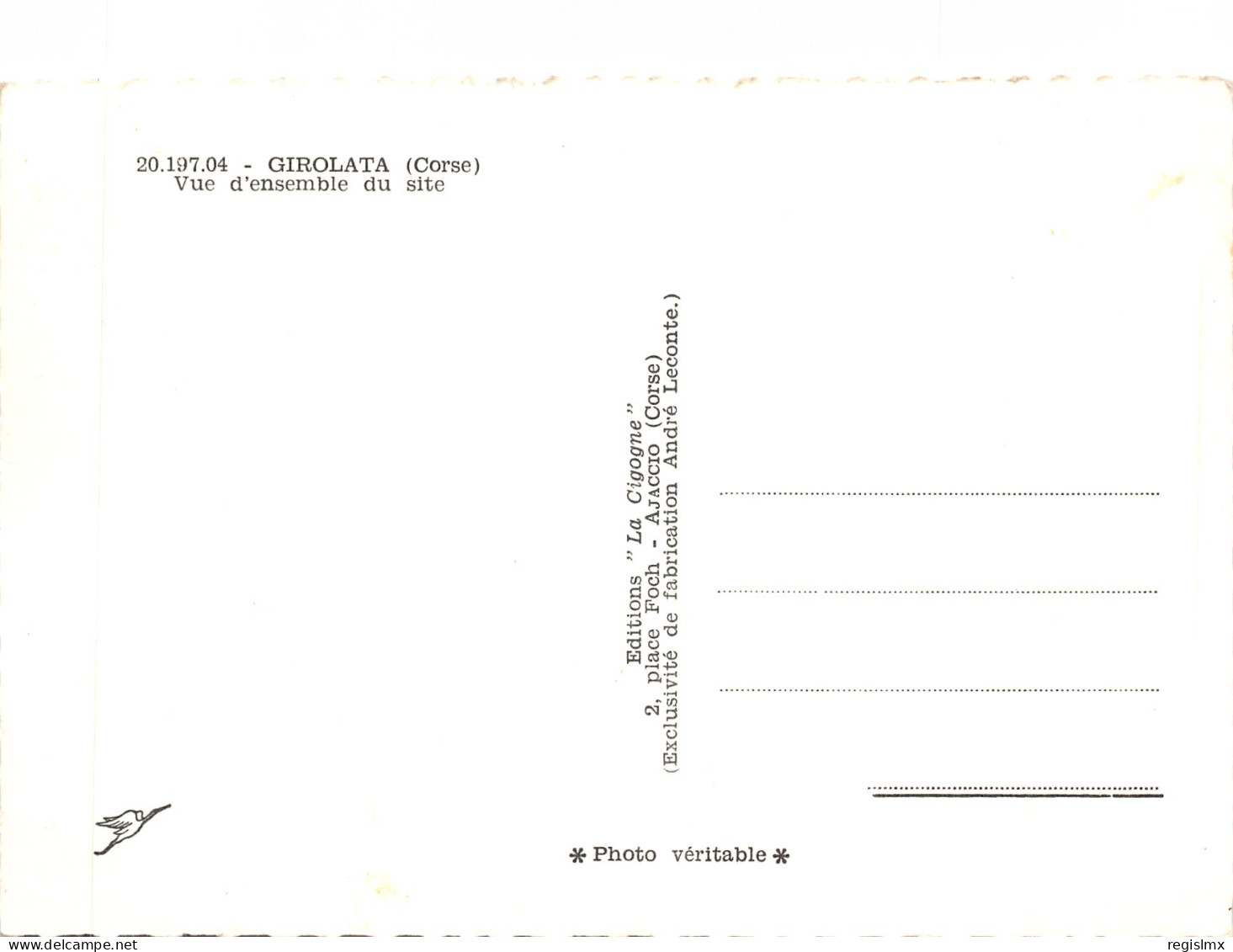 20-GIROLATA-N°T567-B/0203 - Other & Unclassified