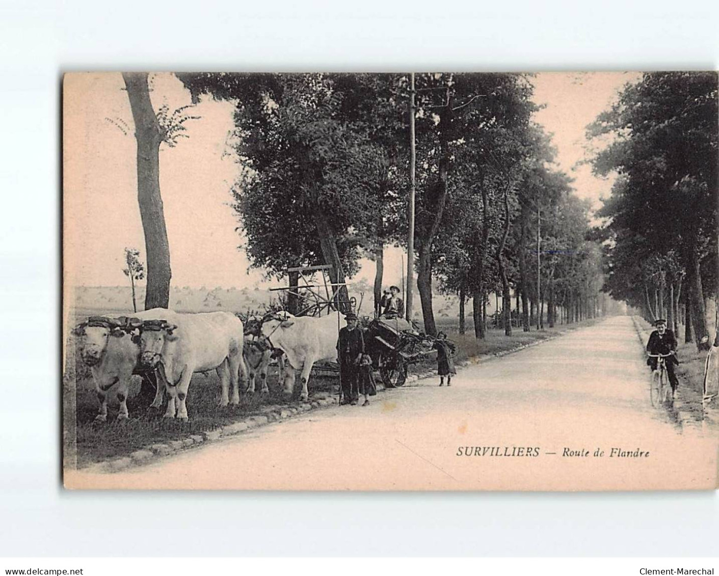 SURVILLIERS : Route De Flandre - Très Bon état - Survilliers