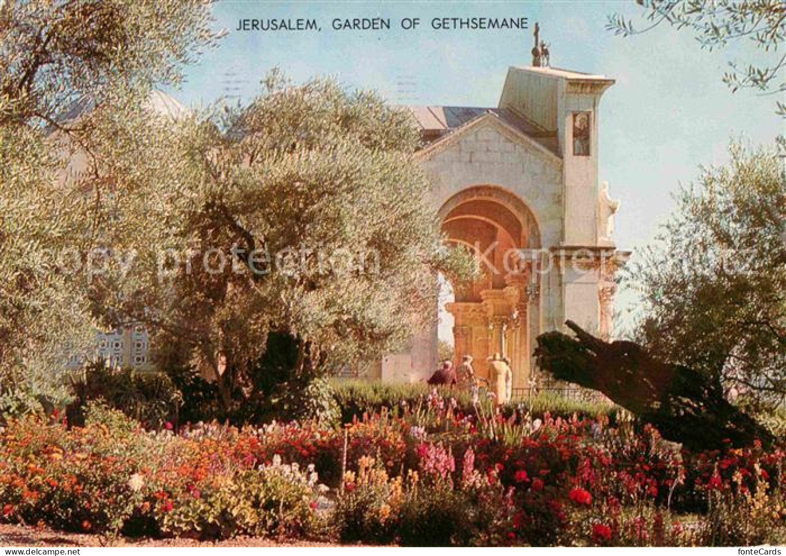 72658089 Gethsemane Gethsemani Kirche Gethsemane Gethsemani - Israel