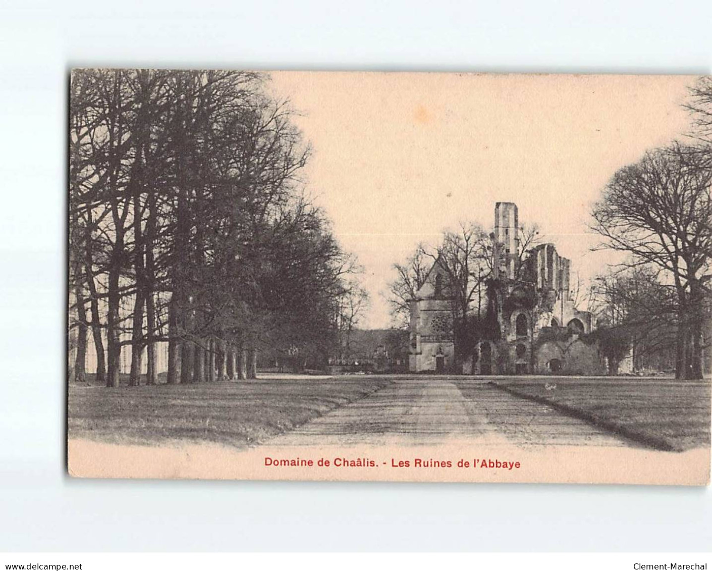 Domaine De Chaâlis, Les Ruines De L'Abbaye - état - Other & Unclassified
