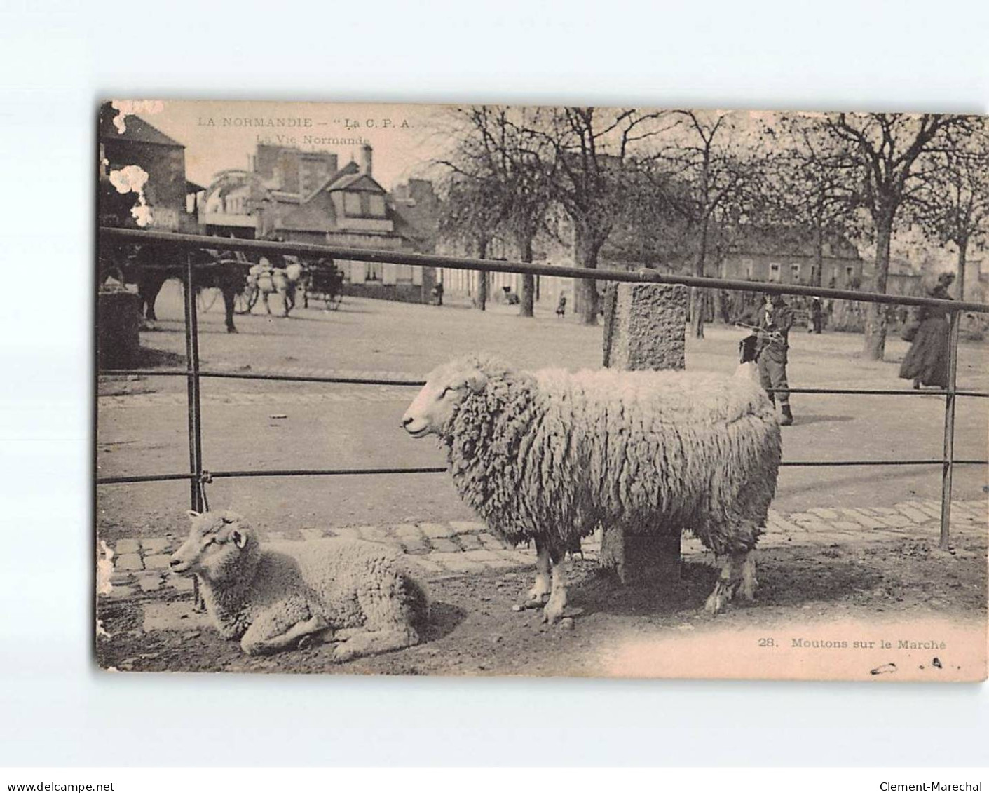 Moutons Sur Le Marché - état - Other & Unclassified