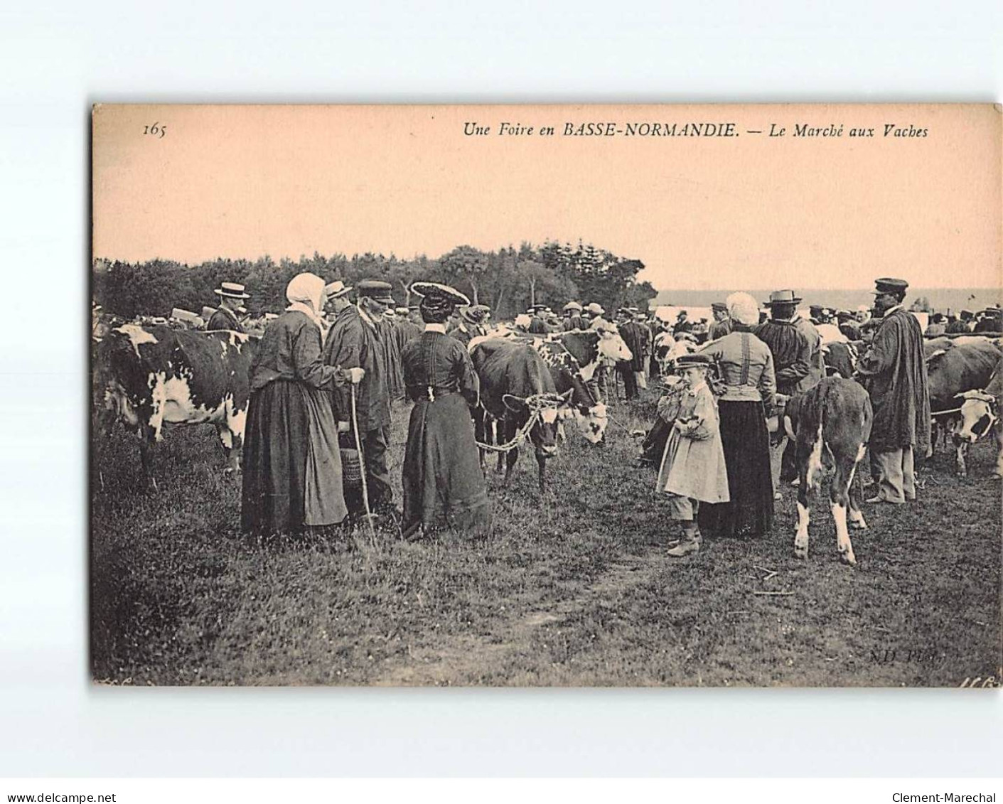 Le Marché Aux Vaches - Très Bon état - Autres & Non Classés