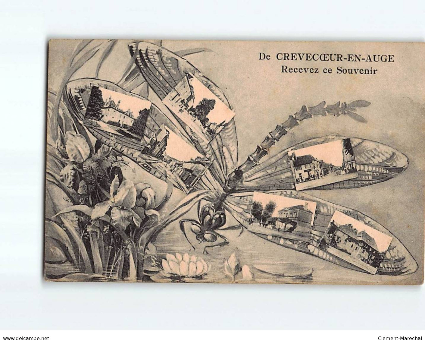 CREVECUR EN AUGE : Carte Souvenir - état - Sonstige & Ohne Zuordnung