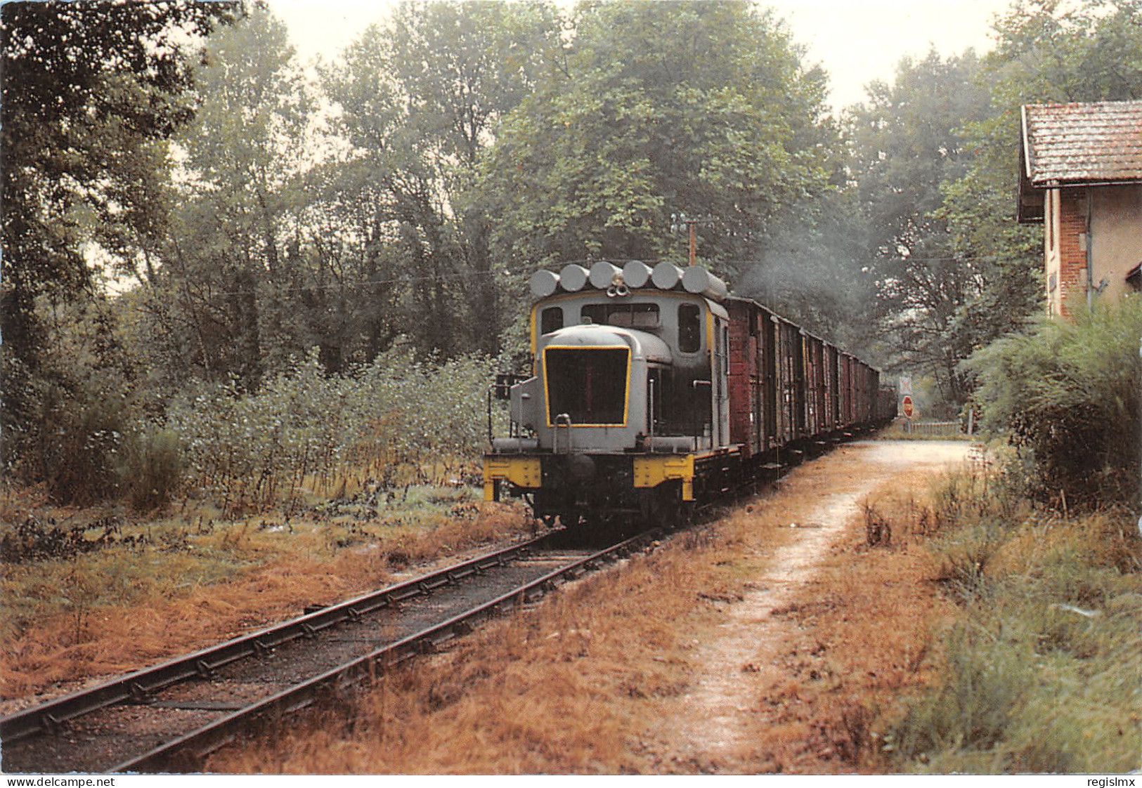 41-PRUNIERS EN SOLOGNE-TRAIN DE MARCHANDISE-N°T570-B/0113 - Autres & Non Classés