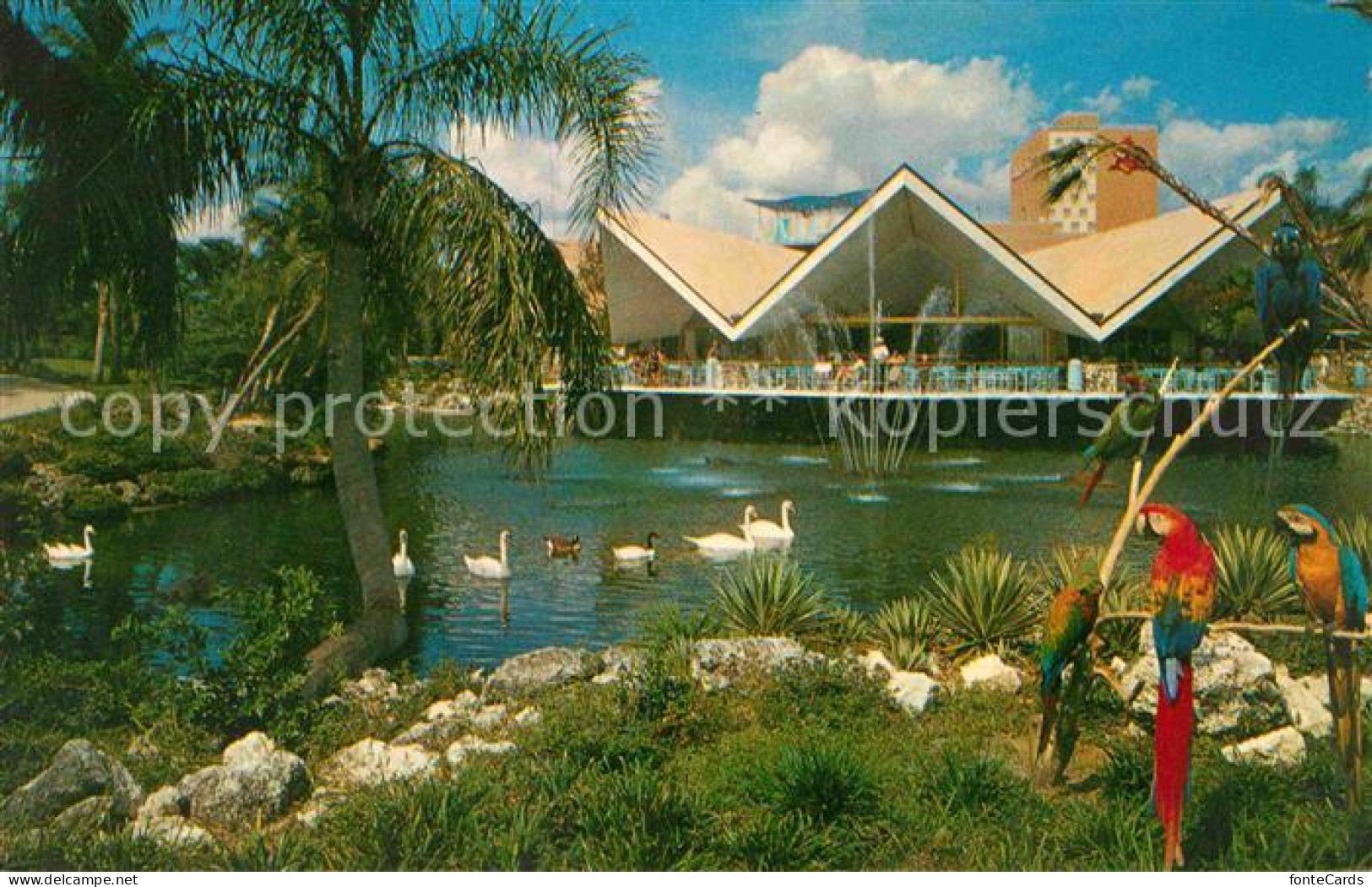 72630198 Tampa_Florida Hospitality House - Sonstige & Ohne Zuordnung