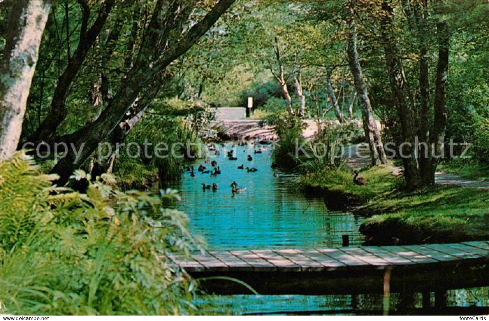 72627623 East_Hampton_New_York Nature Trail - Sonstige & Ohne Zuordnung