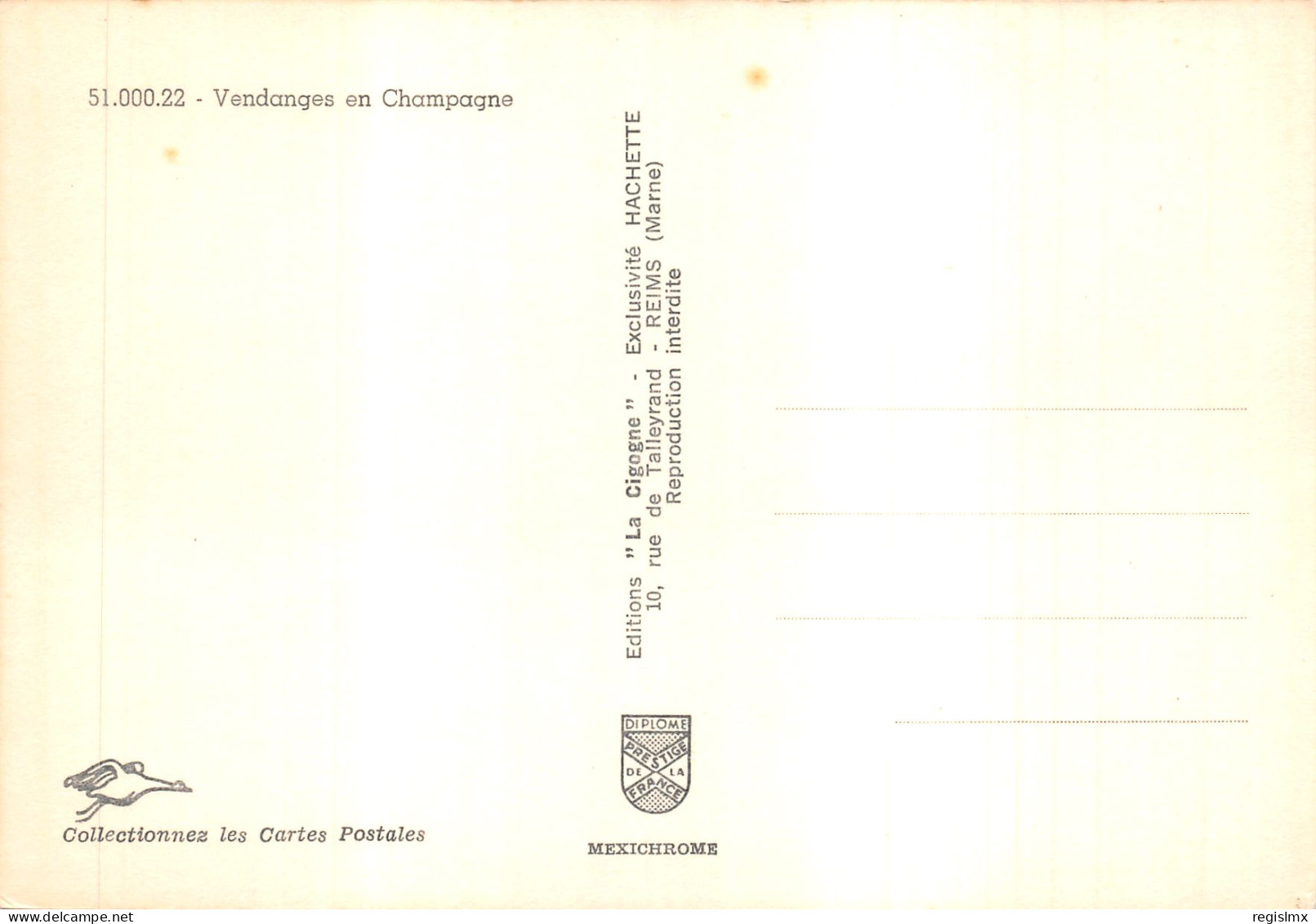 51-SCENE DE CHAMPAGNE-VENDANGES-N°T571-A/0035 - Sonstige & Ohne Zuordnung